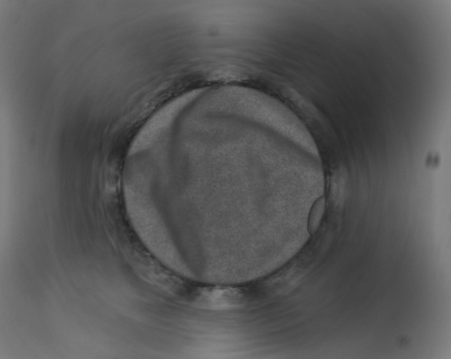 X0000112760517200909171252