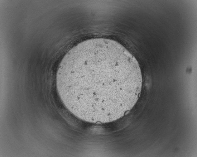 X0000112760519200909171252