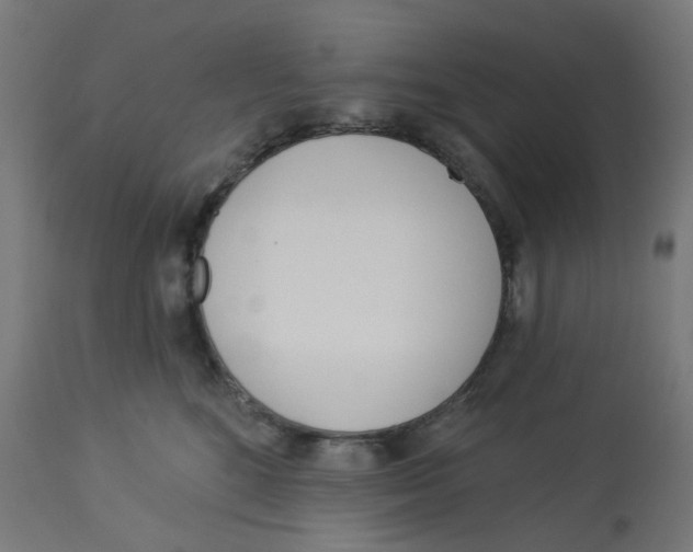 X0000112760520200909171252