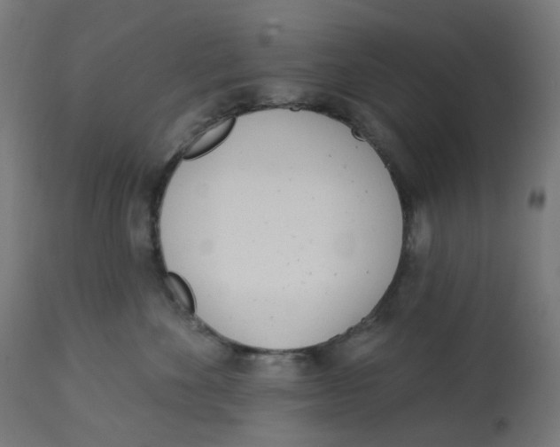 X0000112760524200909171252
