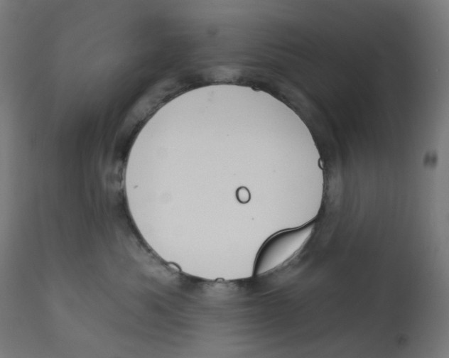 X0000112760525200909171252
