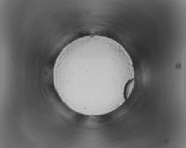 X0000112760527200909171252