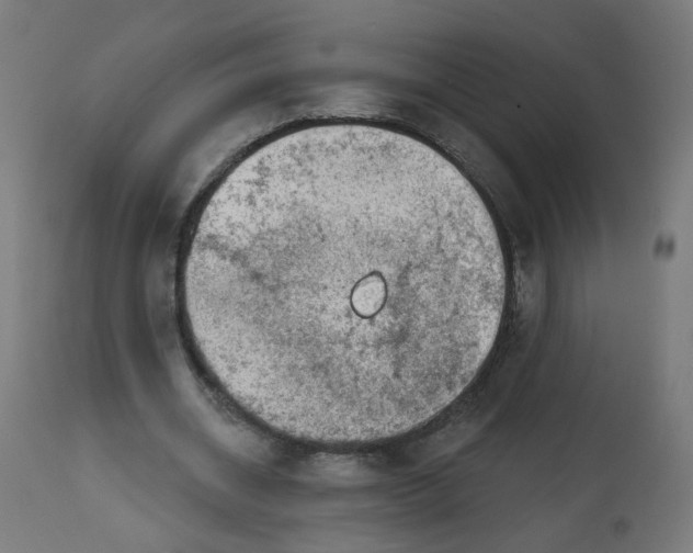X0000112760534200909171252