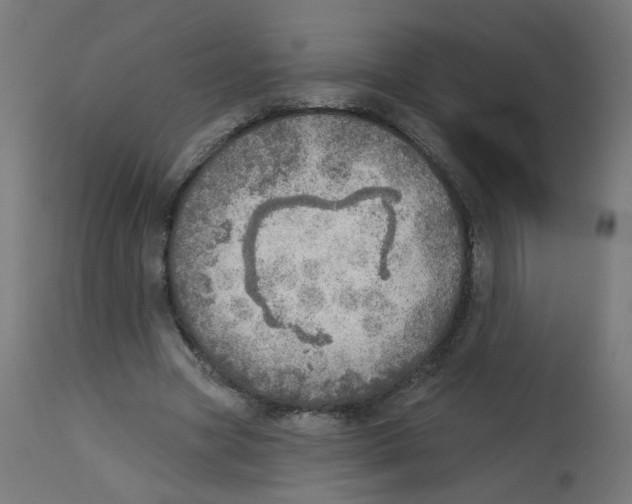 X0000112760537200909171252