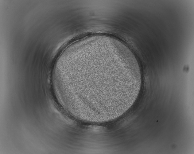 X0000112760539200909171252