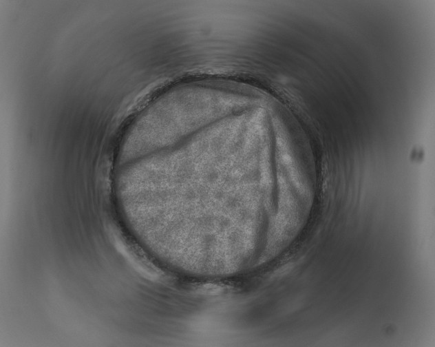 X0000112760542200909171252
