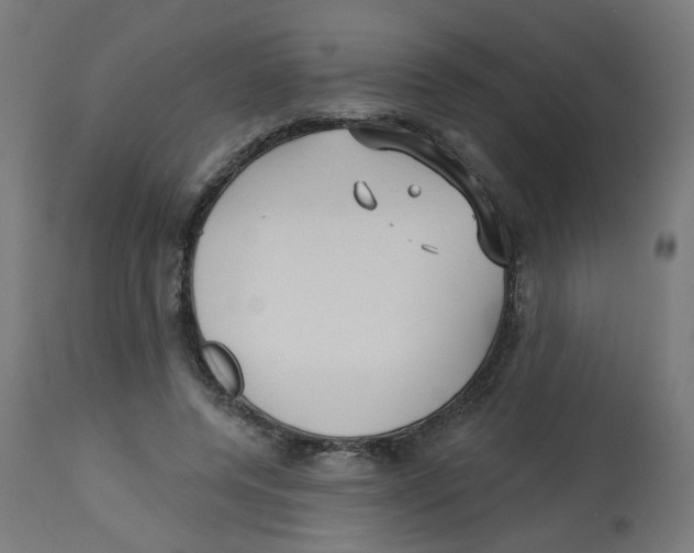 X0000112760544200909171252