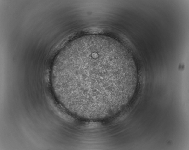 X0000112760549200909171252