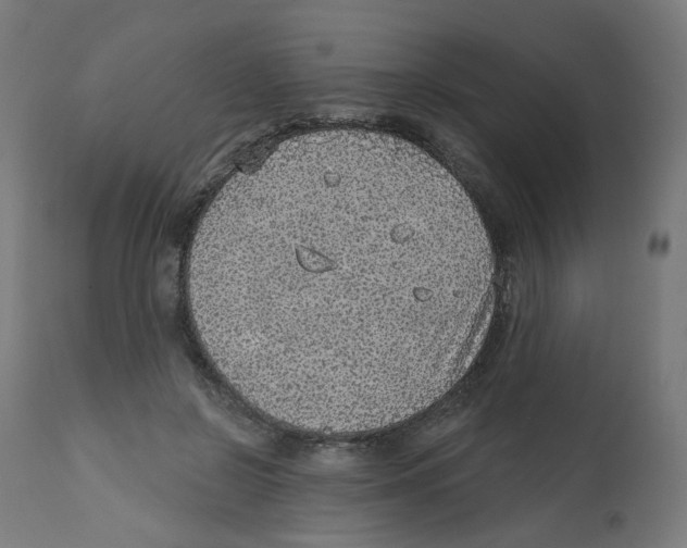 X0000112760550200909171252