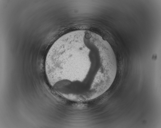 X0000112760553200909171252