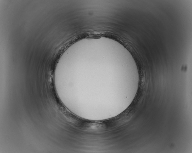 X0000112760555200909171252