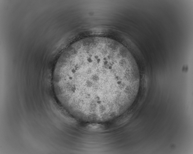 X0000112760557200909171252