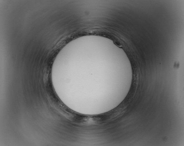 X0000112760558200909171252