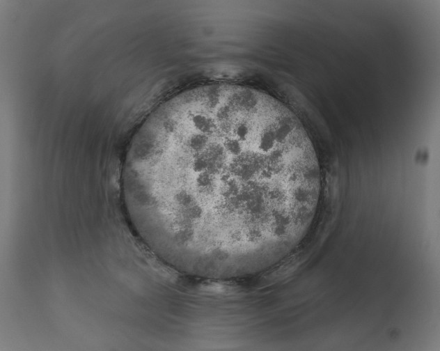 X0000112760561200909171252