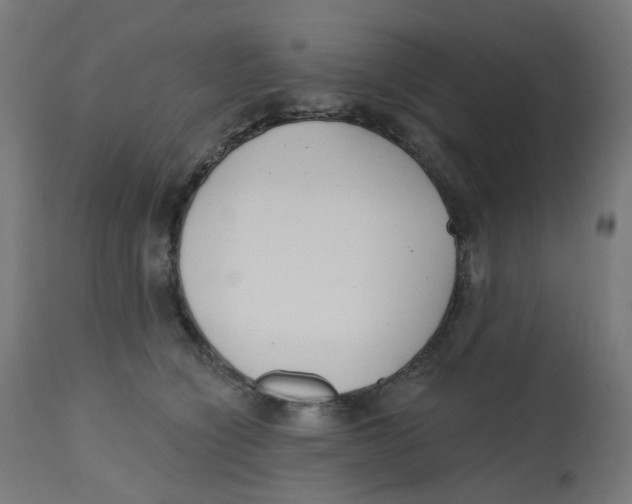 X0000112760564200909171252