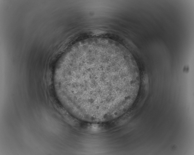 X0000112760565200909171252