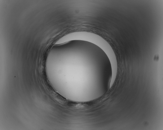 X0000112760566200909171252