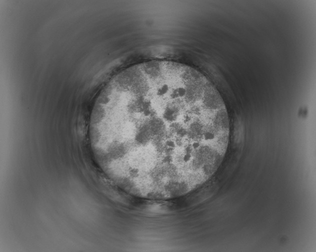 X0000112760569200909171252