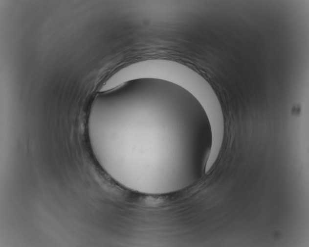 X0000112760570200909171252