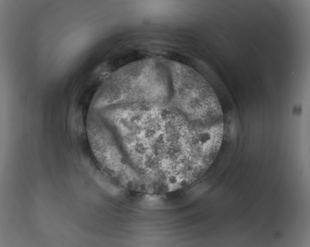 X0000112760573200909171252