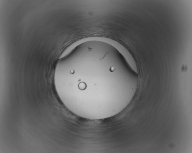 X0000112760576200909171252