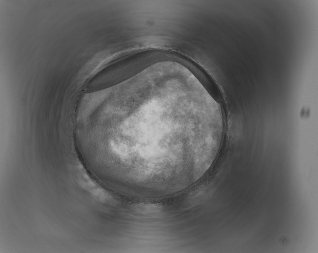 X0000112760577200909171252
