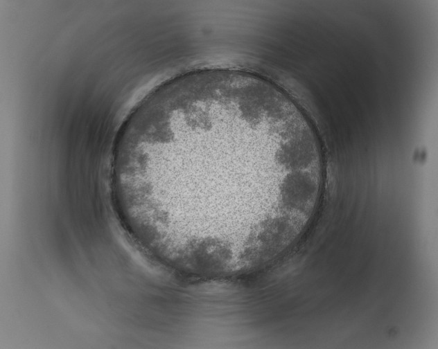 X0000112760578200909171252