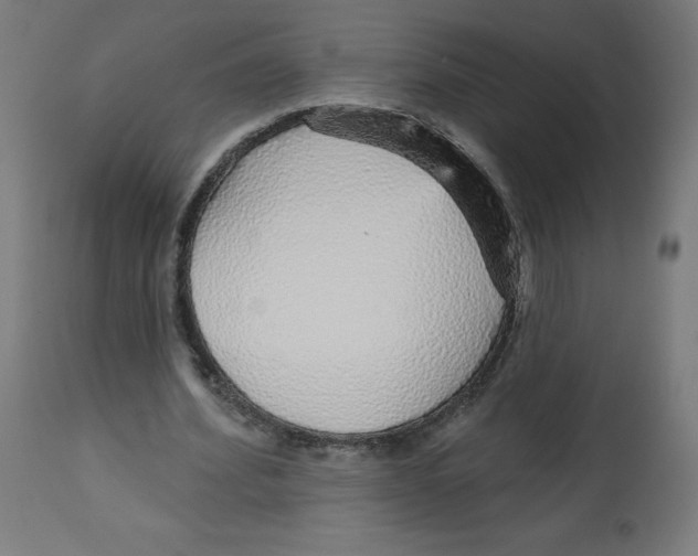 X0000112760580200909171252