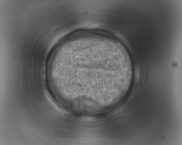 X0000112760582200909171251