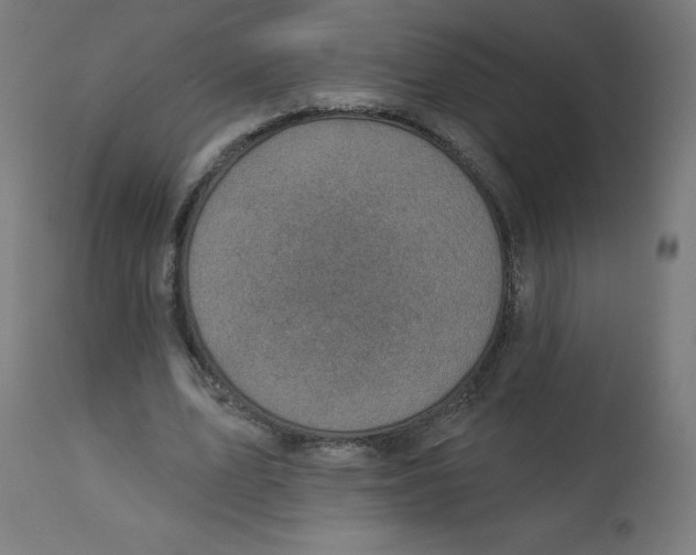 X0000112760583200909171251