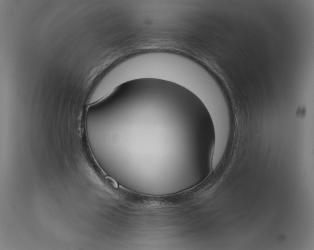 X0000112760585200909171251