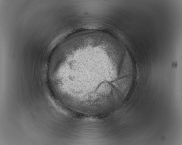 X0000112760586200909171251