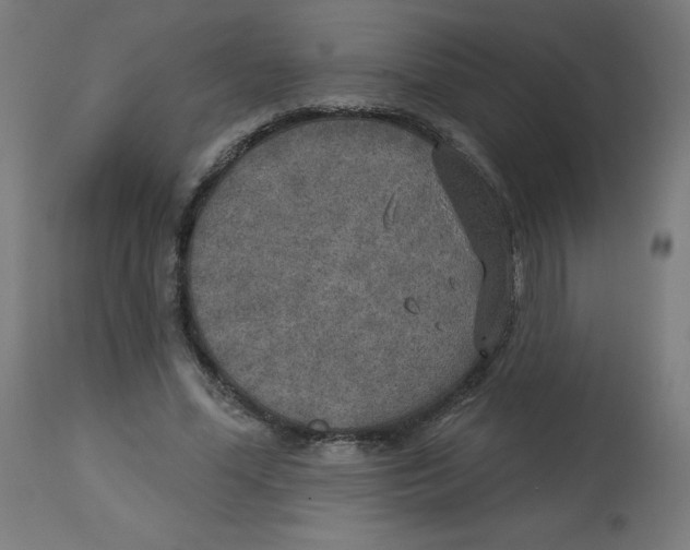 X0000112760588200909171251