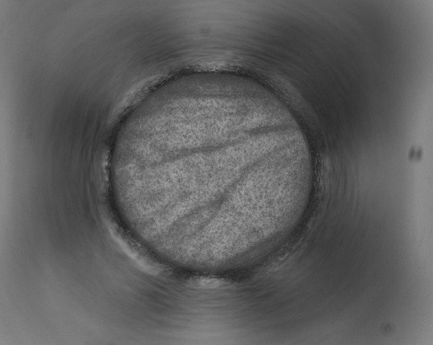 X0000112760590200909171251