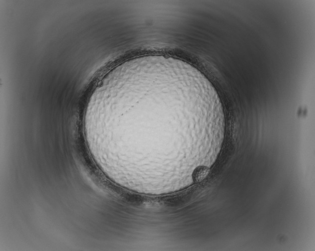 X0000112760591200909171251