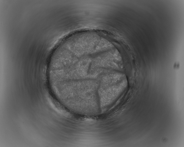 X0000112760592200909171251