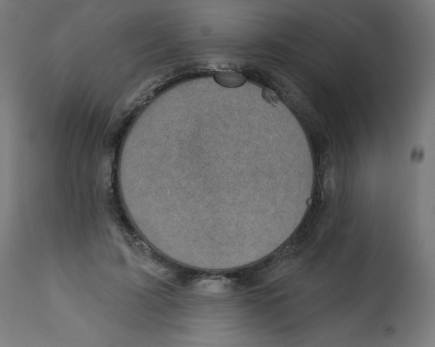 X0000112760595200909171251
