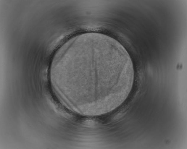X0000112760596200909171251
