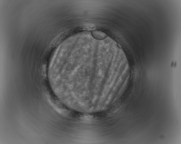 X0000112760598200909171251