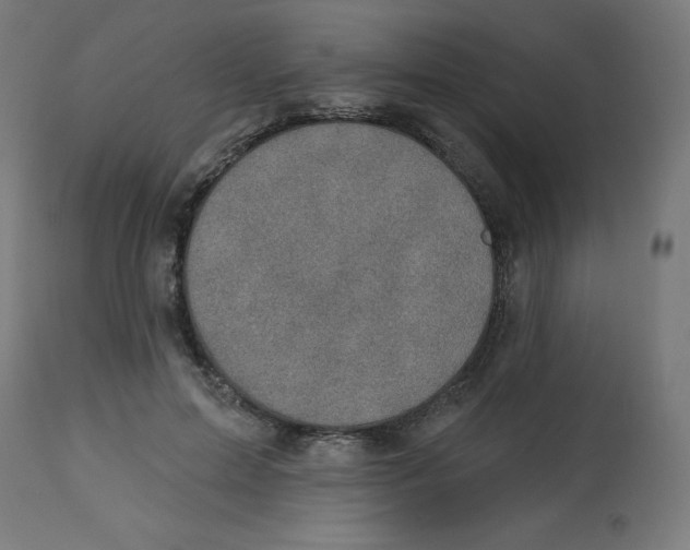X0000112760599200909171251