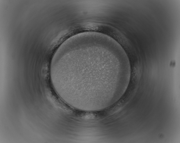 X0000112760600200909171251