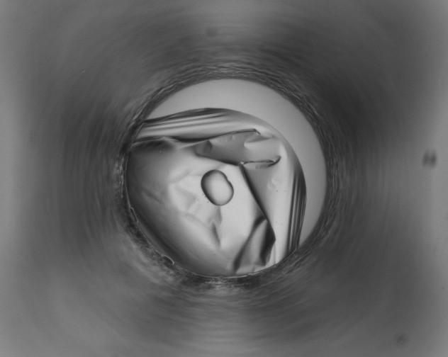 X0000112760601200909171251