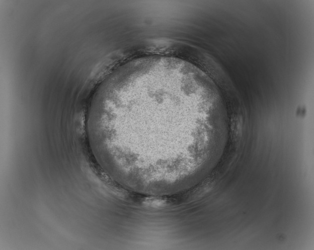 X0000112760602200909171251