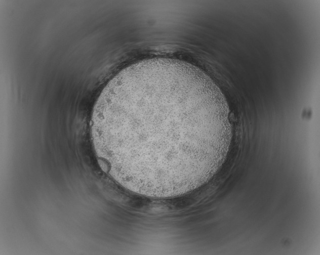 X0000112760608200909171251