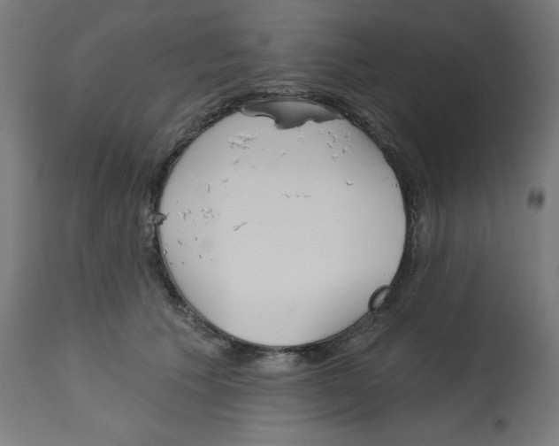 X0000112760609200909171251