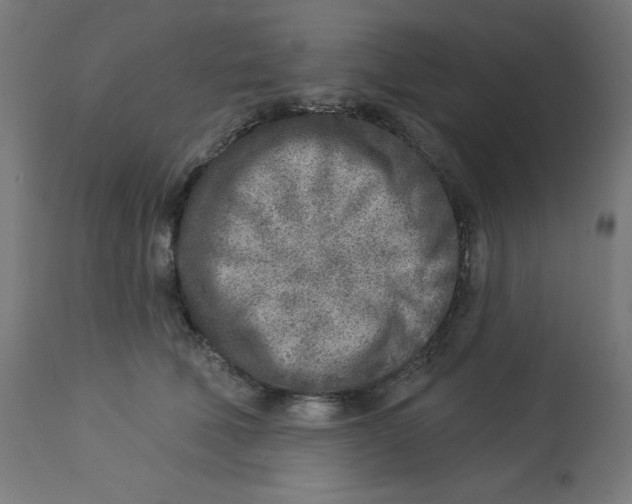 X0000112760610200909171251