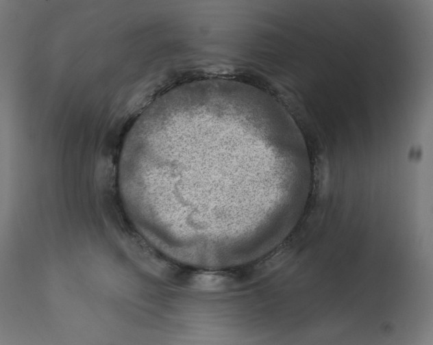 X0000112760614200909171251