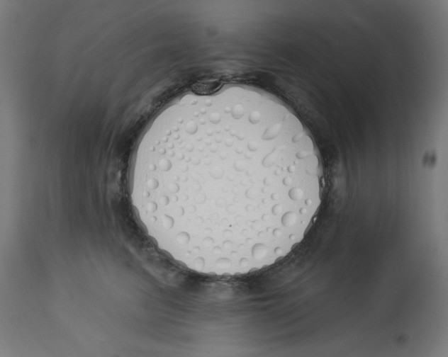 X0000112760615200909171251