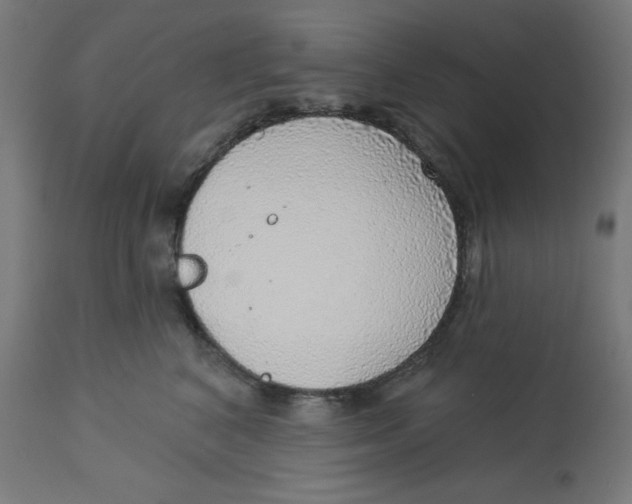 X0000112760616200909171251