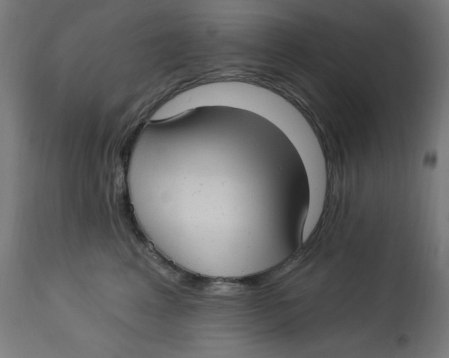 X0000112760617200909171251